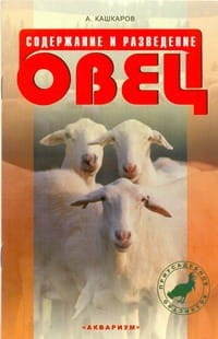 Содержание и разведение овец