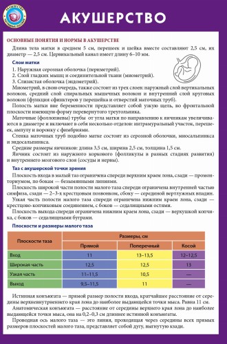 Акушерство