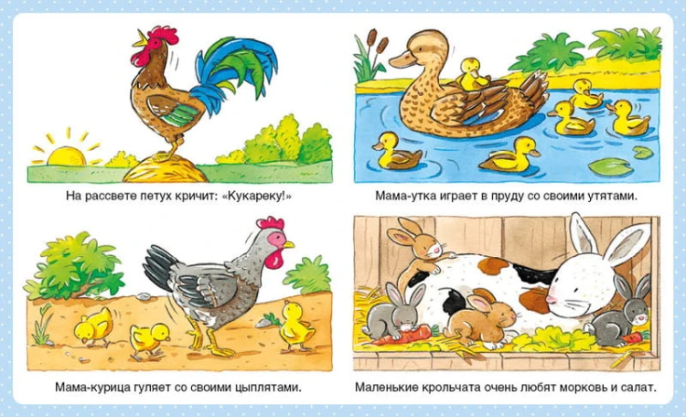 Животные (до 3-х лет, пухлая обл., импорт)