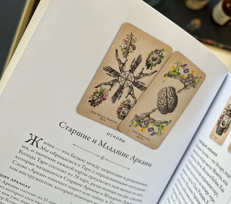 Antique Anatomy Tarot. Таро античной анатомии