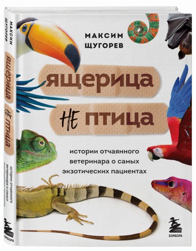 Ящерица не птица. Истории отчаянного ветеринара о самых экзотических пациентах