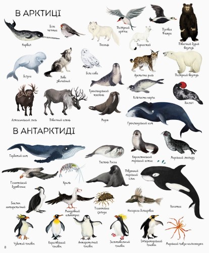 1000 назв тварин
