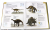 Screenshot_2020-09-04 Динозавры Иллюстрированный атлас(3).png
