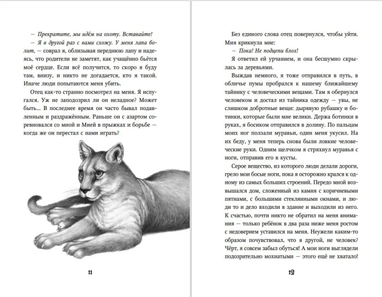 Тайна Холли (#3)