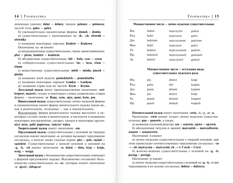 Польский за 30 дней
