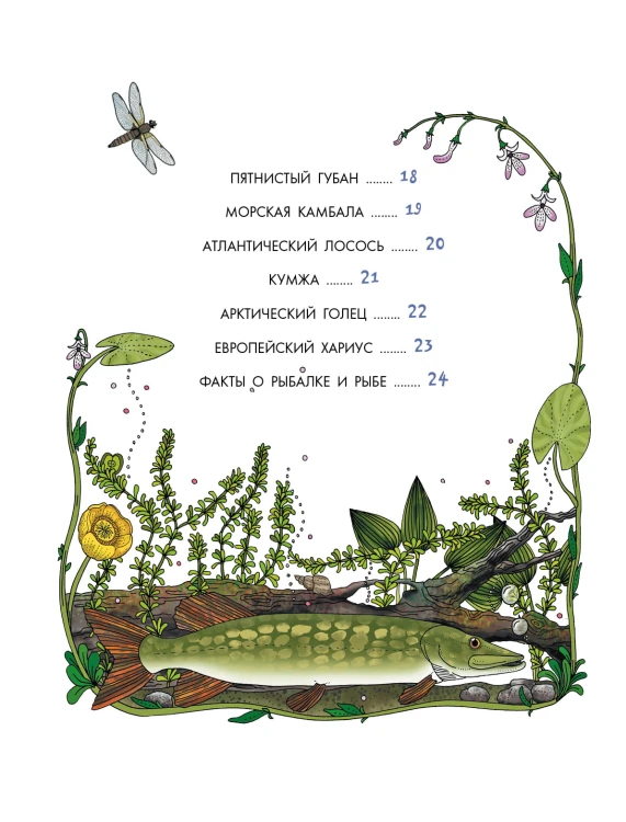 Рыбы
