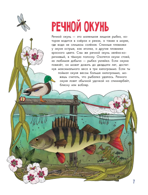Рыбы