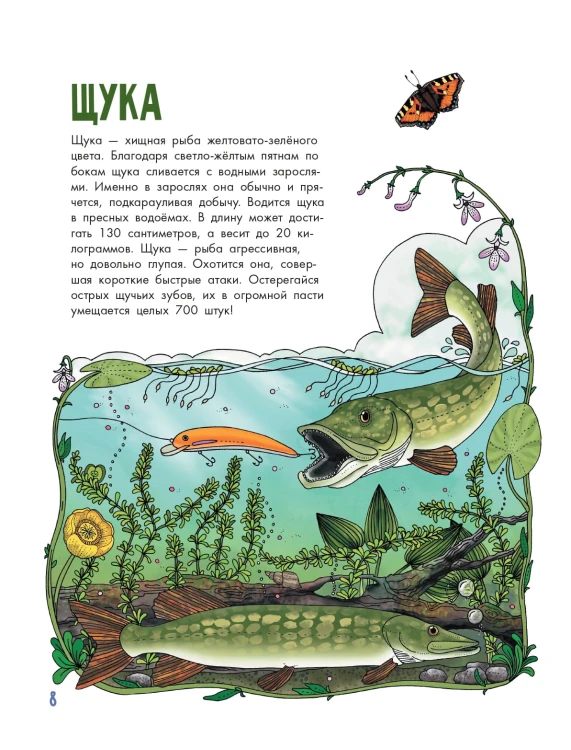 Рыбы