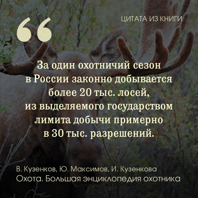 Охота. Большая энциклопедия. 17 диких зверей