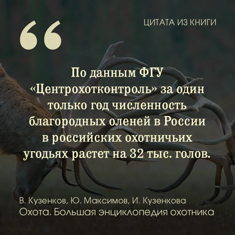 Охота. Большая энциклопедия. 17 диких зверей