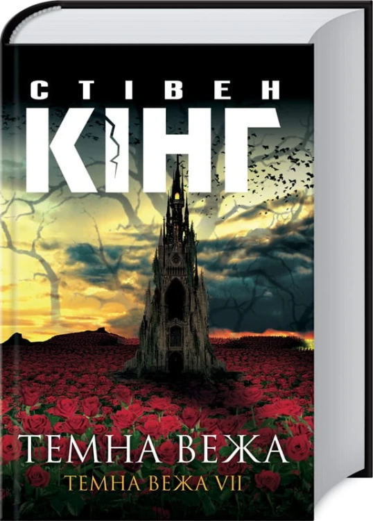 Темна вежа. Темна вежа  VII