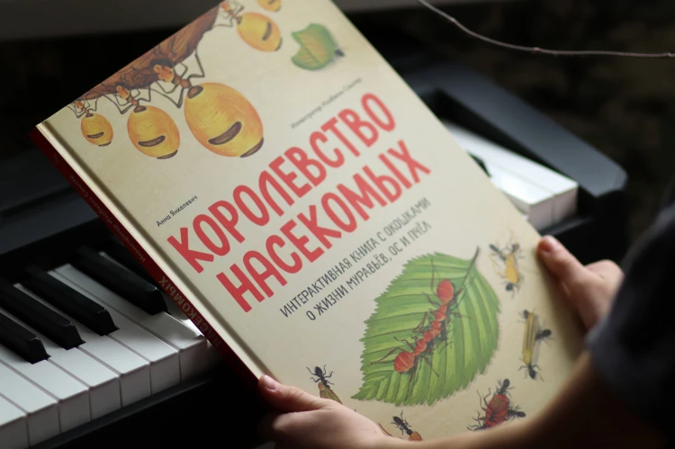 Королевство насекомых. Интерактивная книга с окошками о жизни муравьёв, ос и пчёл