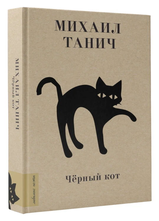 Чёрный кот