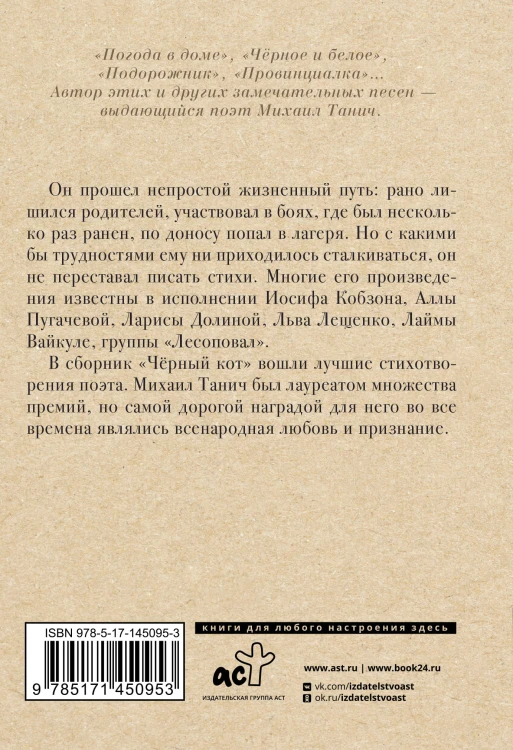 Чёрный кот