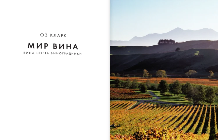 Мир вина