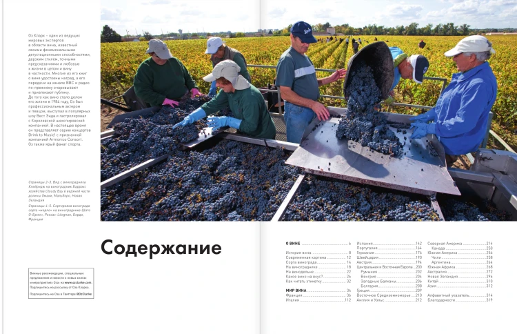 Мир вина