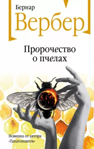 1.webp