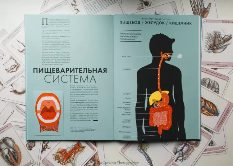 Screenshot_2021-02-24 Анатомия Интерактивный атлас с клапанами и резными иллюстрациями(5).png