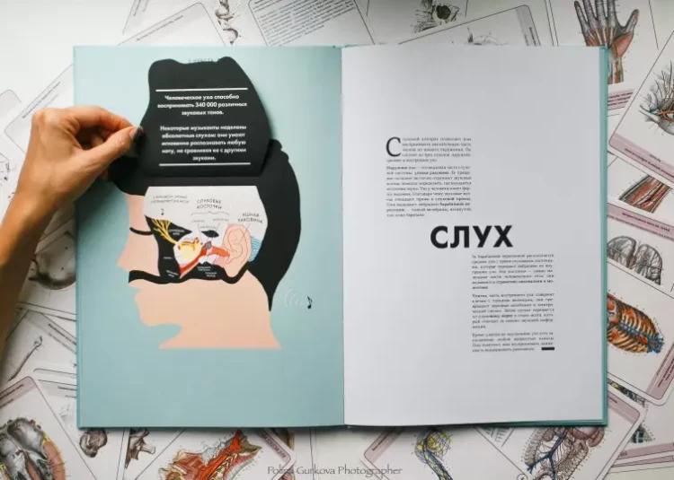 Screenshot_2021-02-24 Анатомия Интерактивный атлас с клапанами и резными иллюстрациями(14).png