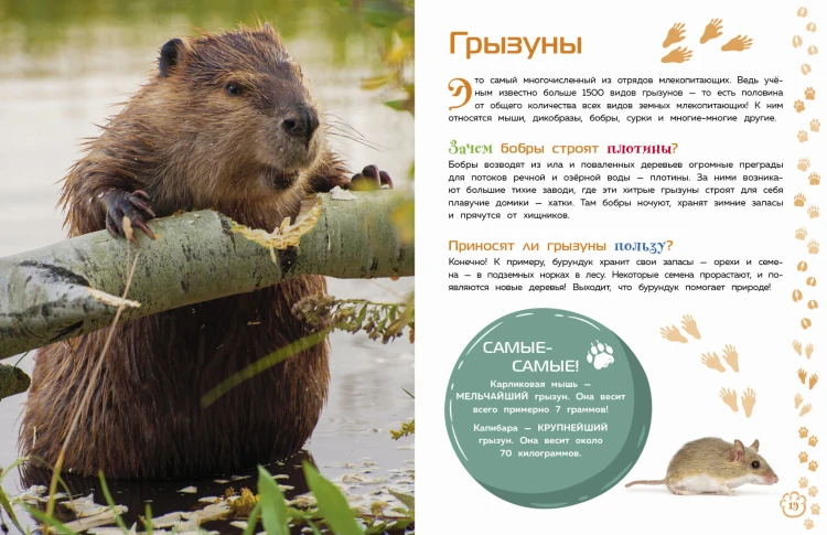 Млекопитающие