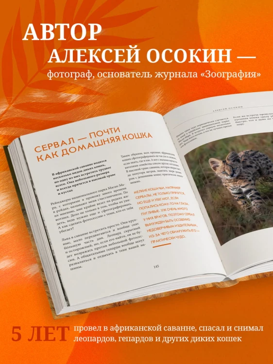 Мир диких животных без мифов. Невероятные фото-истории о жизни хищников саванны