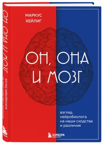 Он, она и мозг. Взгляд нейробиолога на наши сходства и различия