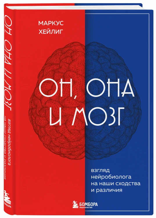 Он, она и мозг. Взгляд нейробиолога на наши сходства и различия