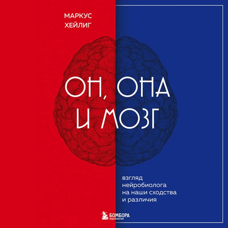 Он, она и мозг. Взгляд нейробиолога на наши сходства и различия