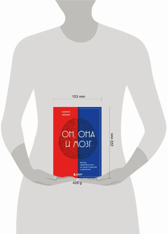 Он, она и мозг. Взгляд нейробиолога на наши сходства и различия