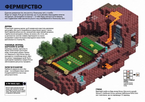 MINECRAFT Довідник Нижнього світу і Краю3.jpg
