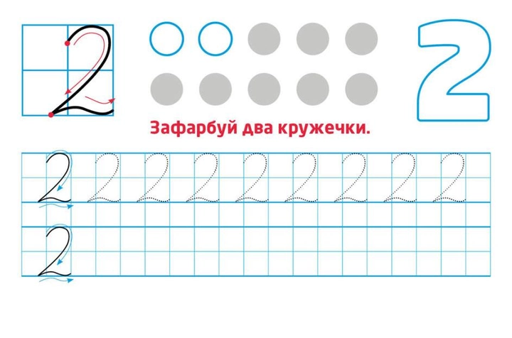 4.webp