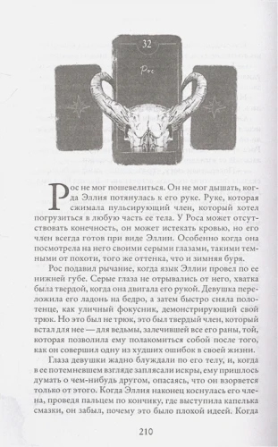 5.webp