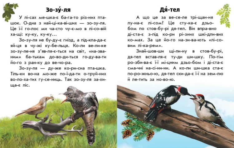 Читаю про Україну. Тварини лісів3.jpg