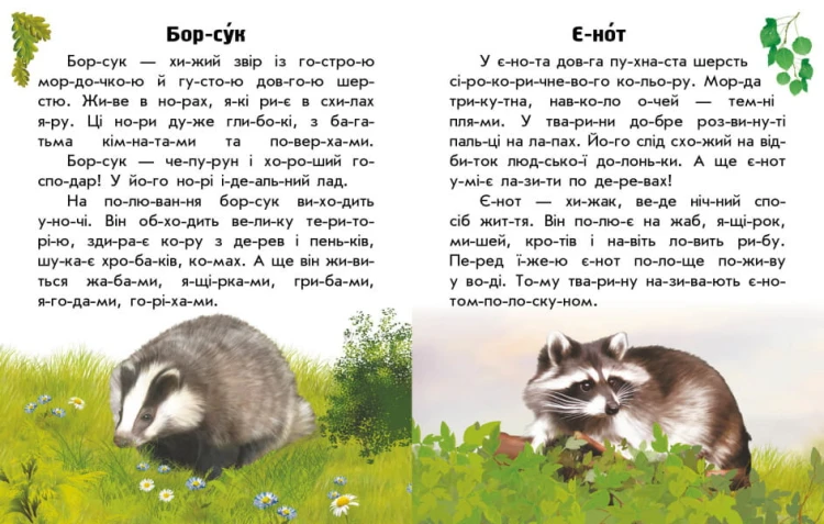 Читаю про Україну. Тварини лісів4.jpg