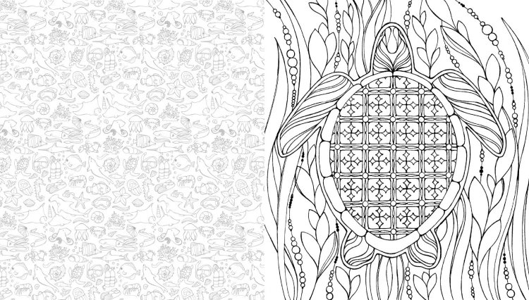 Комплект из 3-х книг "Оживи свои мечты. Дневник, раскраски и вдохновение"