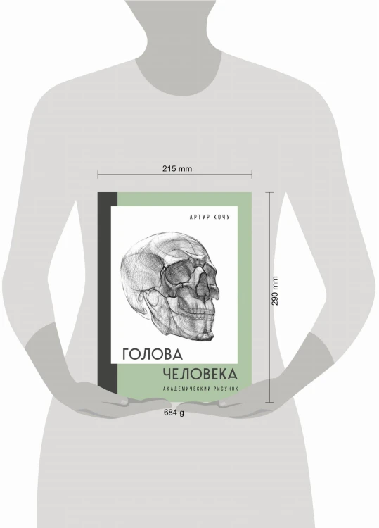 Голова человека. Академический рисунок