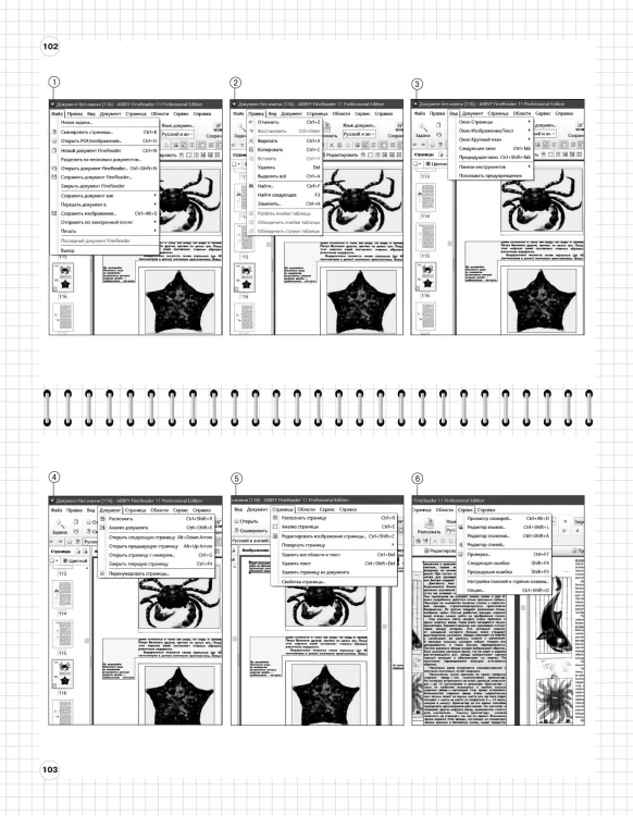 Информатика: 5-11 классы
