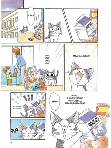2.webp