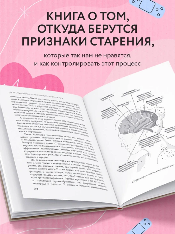 Годен до. Распаковка секретов молодости, которые отучат тело стареть