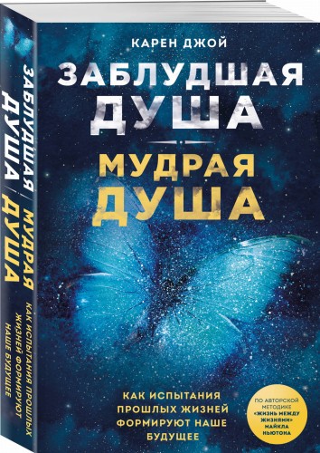 Заблудшая душа - мудрая душа. Как испытания прошлых жизней формируют наше будущее