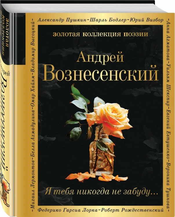 Я тебя никогда не забуду...