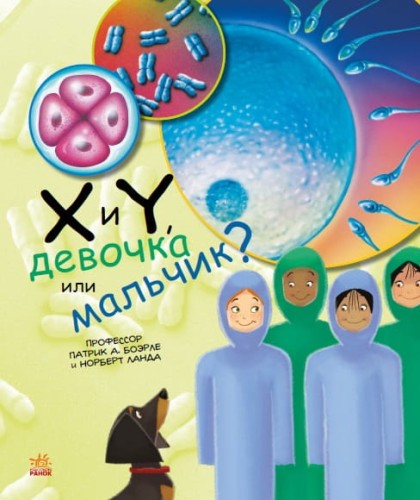 X и Y, девочка или мальчик?