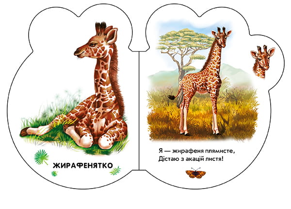 У зоопарку