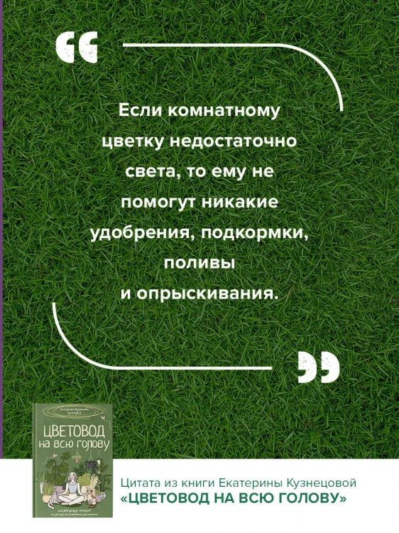 Цветовод на всю голову. Шпаргалка-трекер по уходу за комнатными растениями