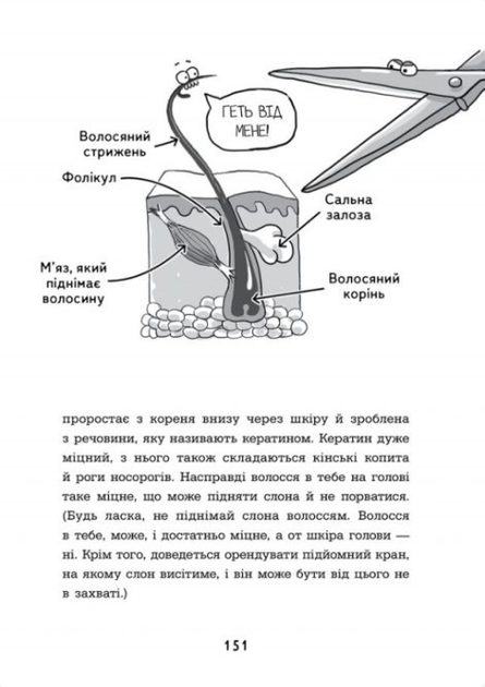 004.webp