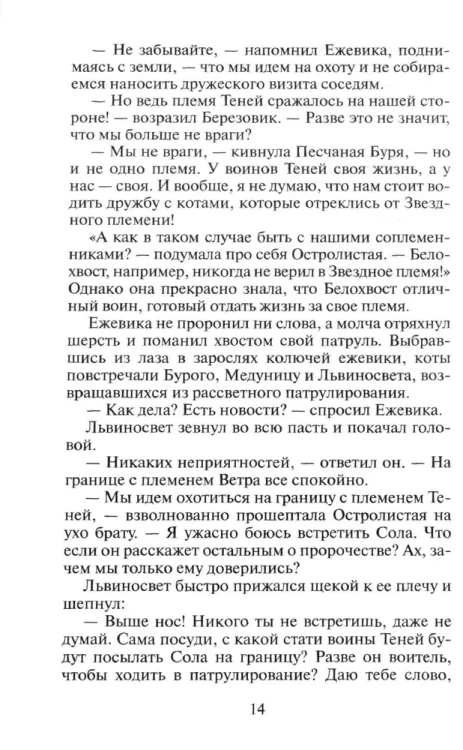 Коты-воители. Длинные тени 4.webp