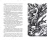 002.webp