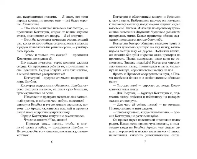 003.webp