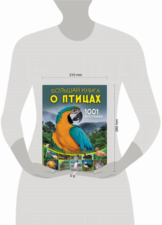 Большая книга о птицах. 1001 фотография
