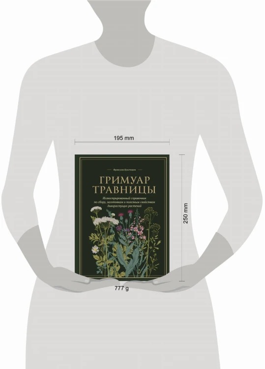 Гримуар травницы. Иллюстрированный справочник по сбору, заготовкам и полезным свойствам дикорастущих растений